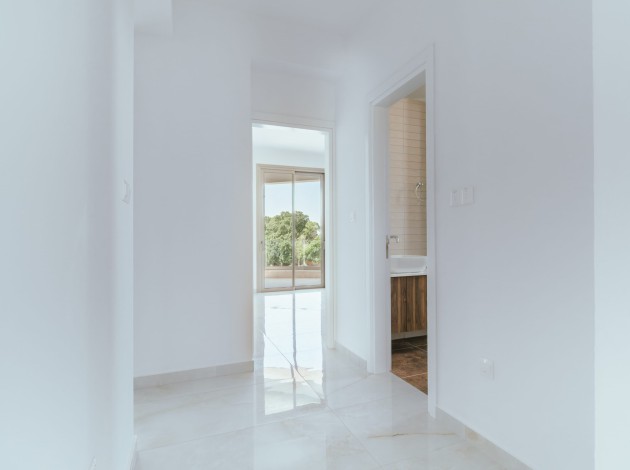 Apollo — Interior — 18