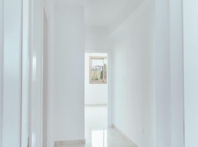 Apollo — Interior — 56